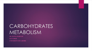 Carbohydrates Metabolism (Part 2)