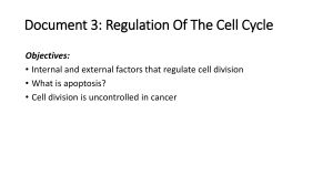 Document 3 Regulation of cell cycle