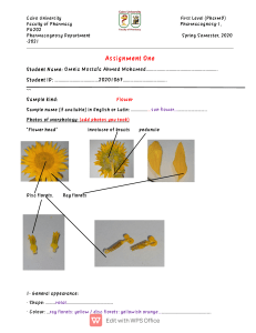 sunflower report