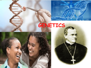 BIO 301 GENETICS II EVOLUTION OF DOMINANCE BY ADELEKE-1