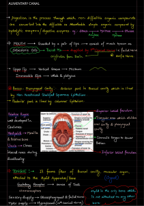 ALIMENTARY CANAL 2021