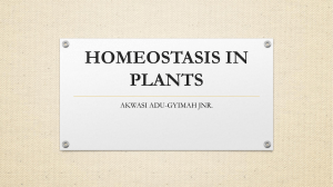 HOMEOSTASIS IN PLANTS