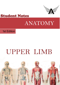 Upper Limb Student Notes Agam with Adobe Index Anatomy Decoded YouTube
