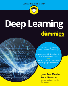 2019 Deep Learning for Dummies