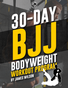 BJJ Bodyweight Workout Program