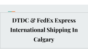  Efficient International Shipping Services in Calgary with DTDC and FedEx Express