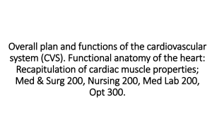 Cardiovascular system lecture Part 1