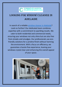 Looking for Window Cleaner in Adelaide