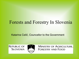 Forests and Forestry In Slovenia