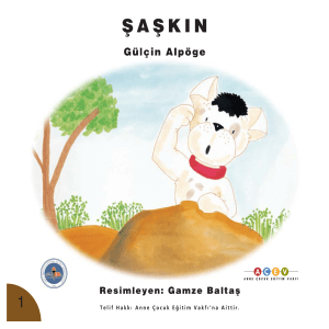 saskin (1)