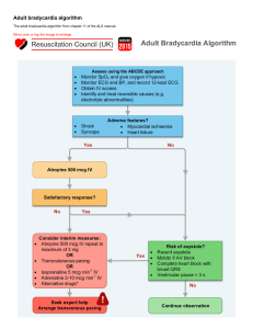 ALS bradycardia algorithm