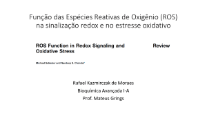 Função das ROS na sinalização e no estresse ox