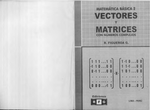 MB 2 Vectores y Matrices R F G