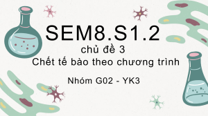 SEM8-CD3
