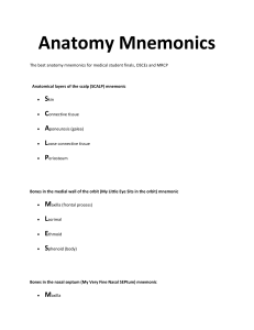 Anatomy Mnemonics