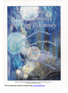 The Elements of Discovery Manual Freedom