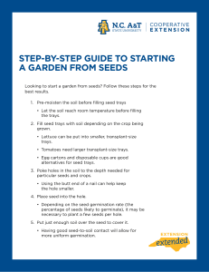 step-by-step-guide-to-starting-a-garden-from-seeds