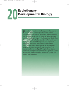 2. Evolutionary Developmental Biology Author Blackwell Publishing