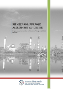 FFP Review Guideline June 2012