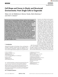 Adv Funct Materials - 2023 - Link - Cell Shape and Forces in Elastic and Structured Environments  From Single Cells to