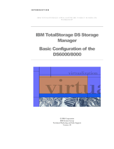 IBM TotalDS Manager