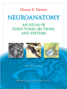 Duane E. Haines - Neuroanatomy  An Atlas of Structures, Sections, and Systems -Lippincott Williams & Wilkins (2011)