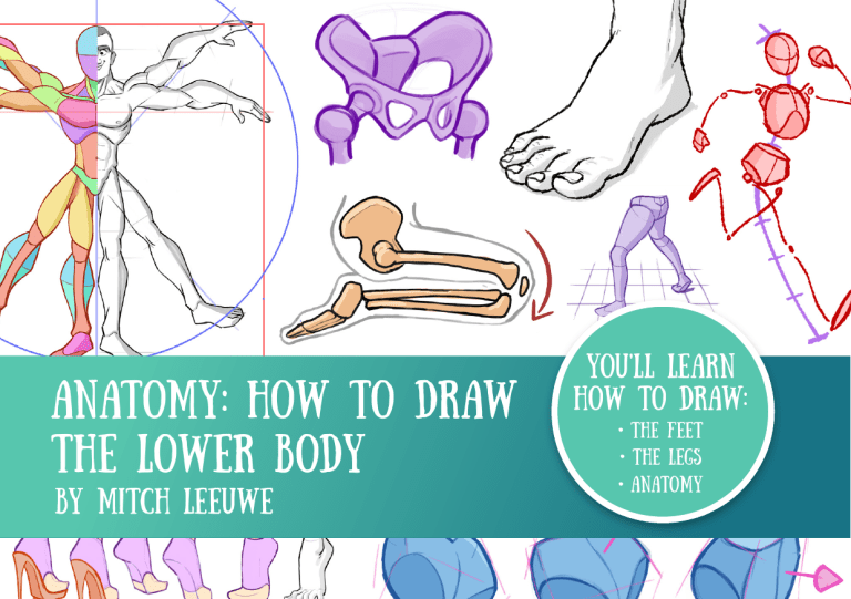 Anatomy how to draw the Lower body by Mitch Leeuwe (Mitch Leeuwe) (Z ...