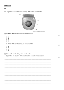Y10 Biology Revision Questions