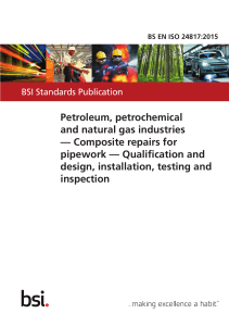 BS EN ISO 24817-2015
