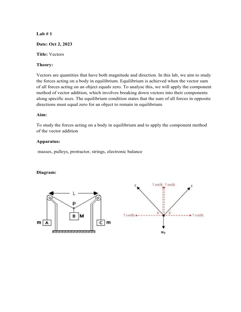 Vectors & Rectilinear Motion Lab Report
