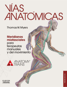 Myers - Vías anatómicas. Meridianos miofasciales para terapeutas