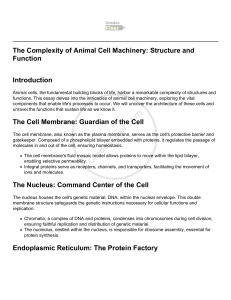 The Complexity of Animal Cell Machinery  Structure and Function