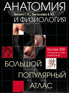 Bilich G. Anatomiya i fiziologiia Bolshoi populiarnyi atlas