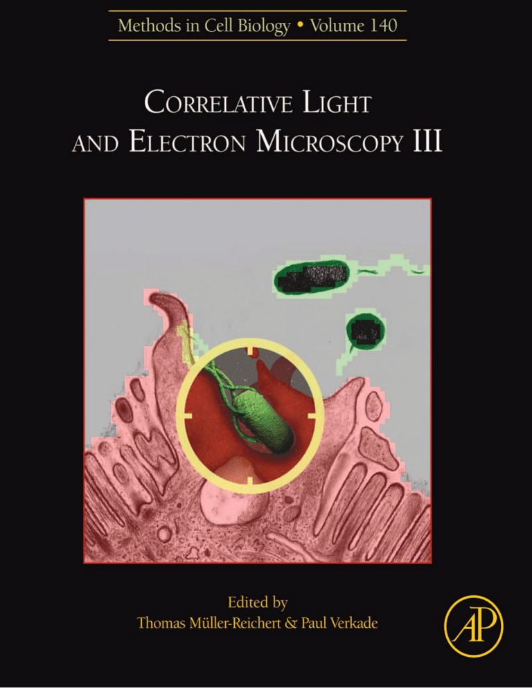 Correlative Light And Electron Microscopy III