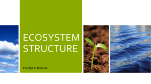 ECOSYSTEM STRUCTURE