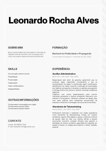 Currículo Leonardo R Alves