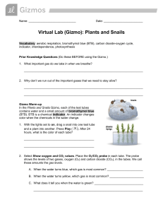 Plants and Snails Lab Sheet
