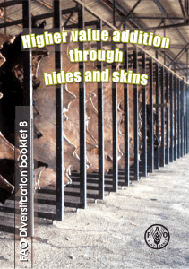 FAO Higher value addition through hides and skins