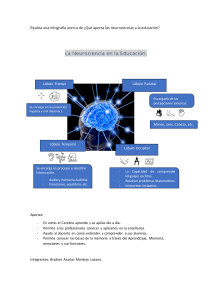 infografía sobre La Neurociencia en La Educación- Brajhan A M L