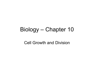Biology.Chapter.10.Outline