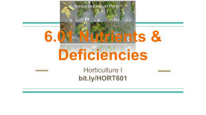 6.01 - Nutrients & Deficiencies