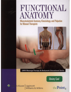 Functional Anatomy Musculoskeletal Anatomy, Kinesiology, and Palpation for Manual Therapists (LWW Massage Therapy & Bodywork Educational Series) ( PDFDrive )