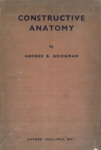 George-Bridgman-Constructive-Anatomy