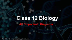 Class 12 Biology ALL Important Diagrams at One Place EKta Soni 1