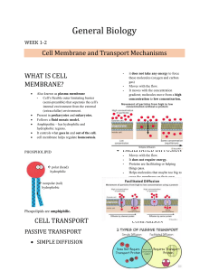 Cell Membrane and Transport Mechanisms - General Biology 