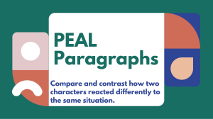 PEAL paragraph example