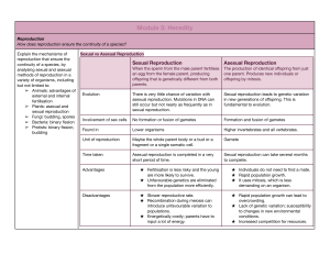 Module 5  Heredity