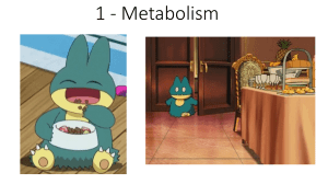1 - metabolism