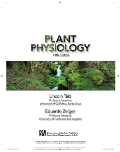 Plant Physiology. 2010. Taiz & Zeiger.  4th Ed.