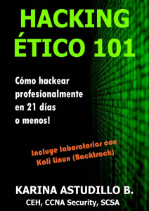 security-hacking-etico-101